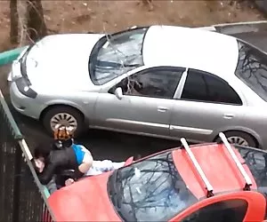 Рэй Венесс и Эшли жесткое порно видео Адамс обрабатывают красавца